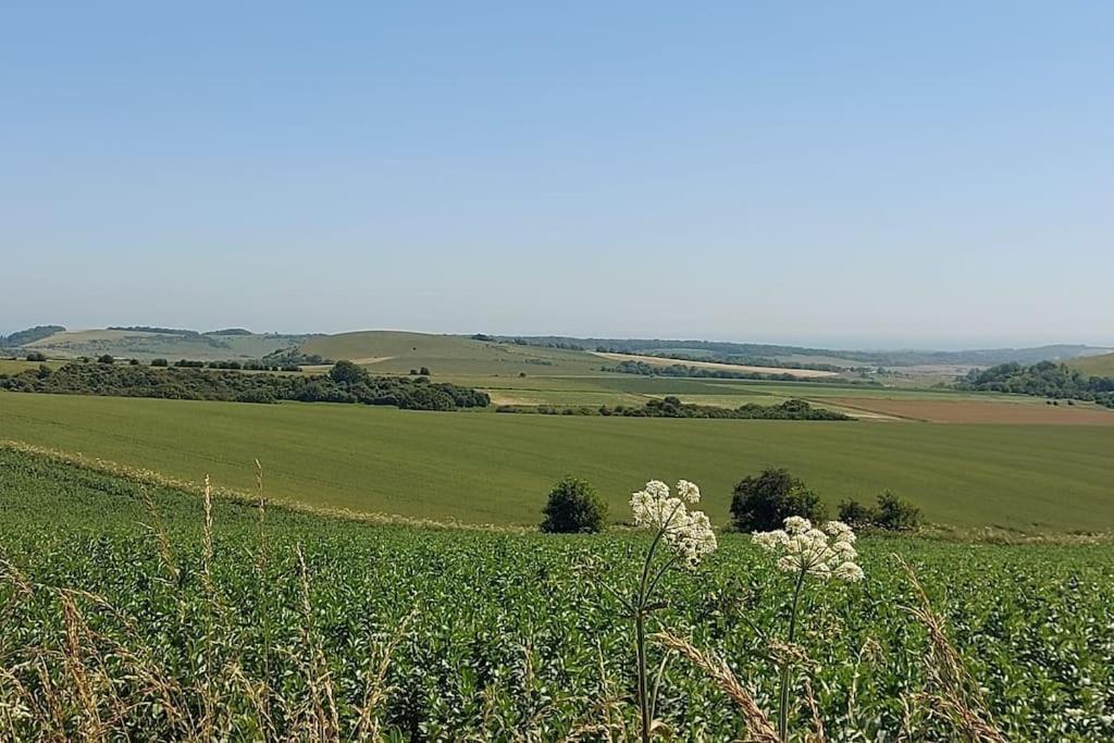 Blackberry Annex. Detached Cottage. Rural Location West Chiltington Exterior foto